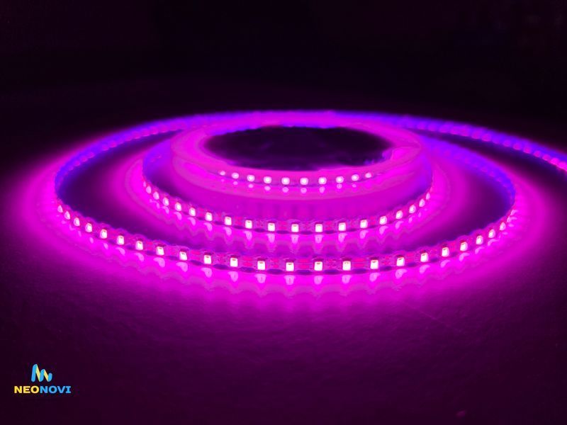 Світлодіодна LED стрічка 12 В (гнучка s-type) для неону, об'ємних літер та контражуру, 110 д/м, IP 20, Рожевий YM110-008 фото