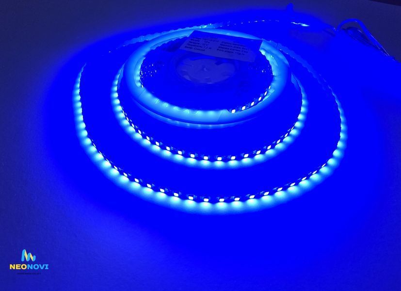 Світлодіодна LED стрічка 12 В (гнучка s-type) для неону, об'ємних літер та контражуру, 110 д/м, IP 65, Синій YM110-010-67 фото