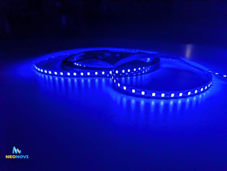 Світлодіодна LED стрічка 12 В (гнучка s-type) для неонових та рекламних вивісок, Синій ЛЕДГ-010 фото