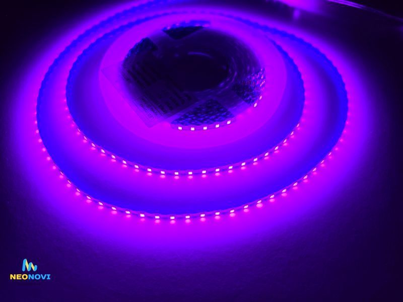 Світлодіодна LED стрічка 12 В (гнучка s-type) для неону, об'ємних літер та контражуру, 110 д/м, IP 65, Фіолетовий YM110-011-67 фото