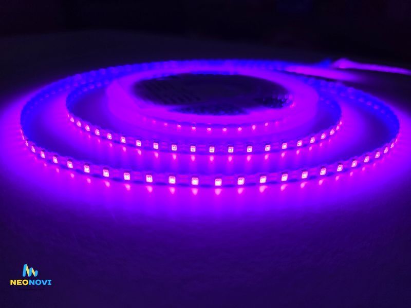 Світлодіодна LED стрічка 12 В (гнучка s-type) для неону, об'ємних літер та контражуру, 110 д/м, IP 65, Фіолетовий YM110-011-67 фото