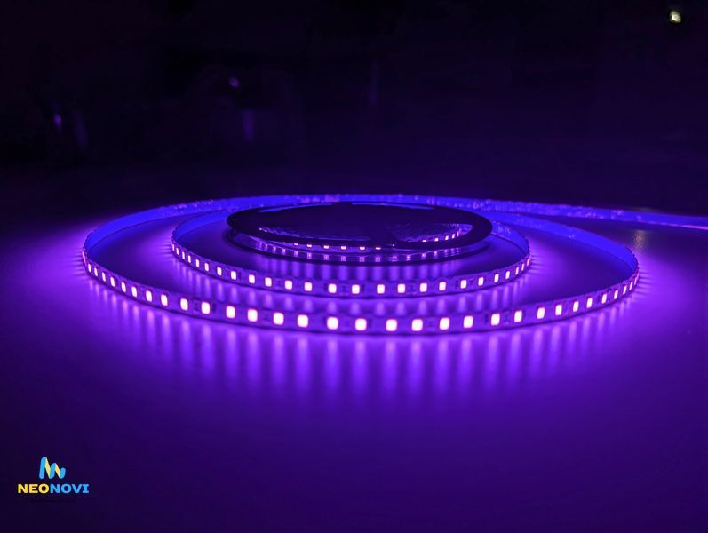 Світлодіодна LED стрічка 12 В (гнучка s-type) для неонових та рекламних вивісок, Фіолетовий ЛЕДГ-011 фото