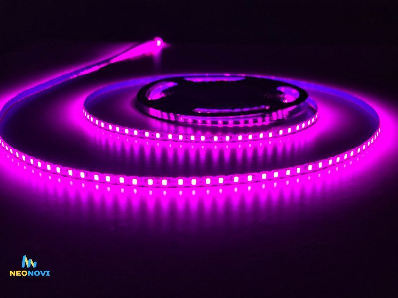 Світлодіодна LED стрічка 12 В (гнучка s-type) для неонових та рекламних вивісок, Рожево-червона ЛЕДГ-001 фото
