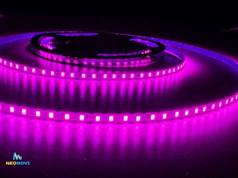 Світлодіодна LED стрічка 12 В (гнучка s-type) для неонових та рекламних вивісок, Рожево-червона ЛЕДГ-001 фото
