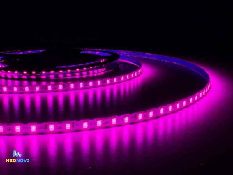 Світлодіодна LED стрічка 12 В (гнучка s-type) для неонових та рекламних вивісок, Рожево-червона ЛЕДГ-001 фото
