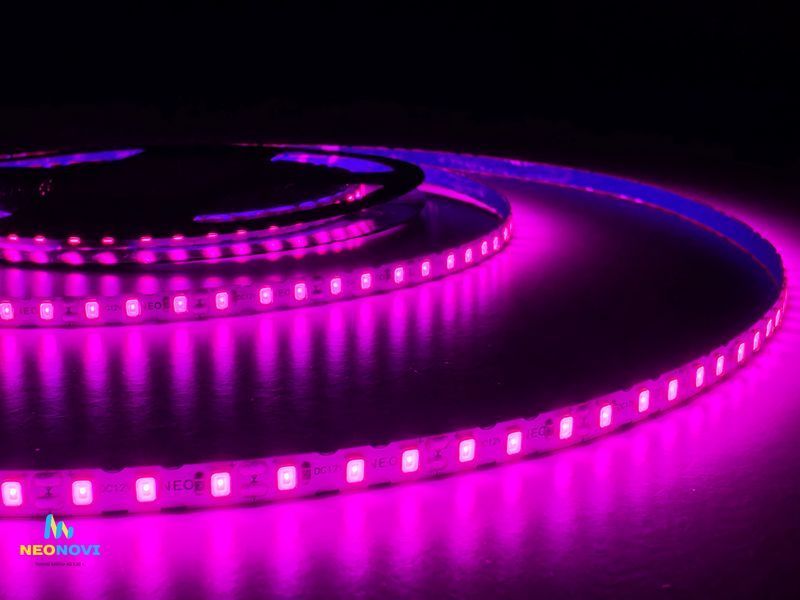 Світлодіодна LED стрічка 12 В - вологозахищена (гнучка s-type) для неонових та рекламних вивісок, Рожево-червоний ЛЕДГВ-001 фото
