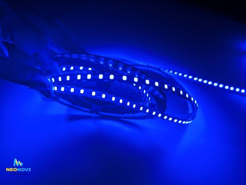 Світлодіодна LED стрічка 12 В - вологозахищена (гнучка s-type) для неонових та рекламних вивісок, Синій ЛЕДГВ-010 фото