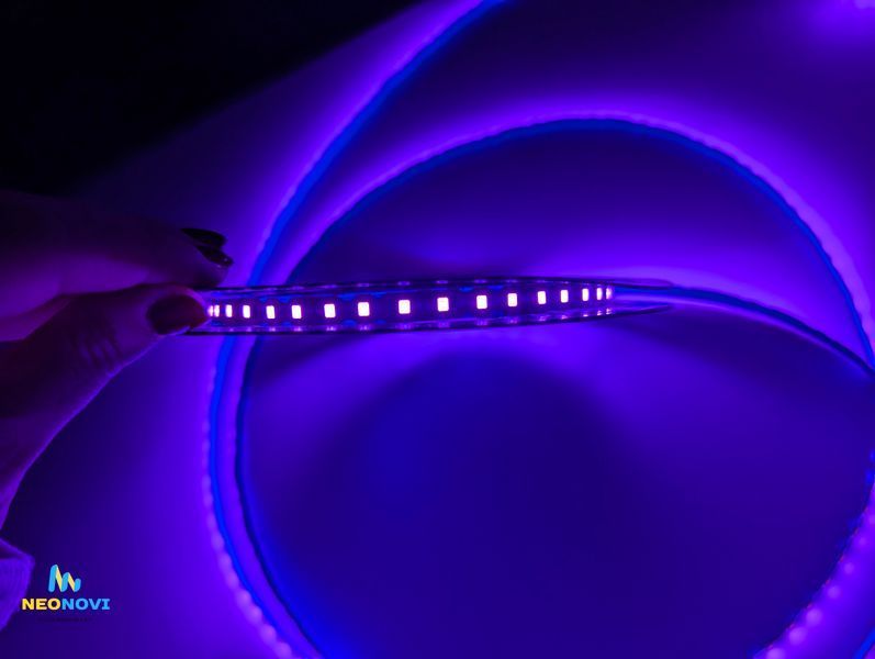1 см, гнучка Світлодіодна LED стрічка 12 В для неонових та рекламних вивісок, Фіолетовий 1см-ЛЕДГ-011 фото