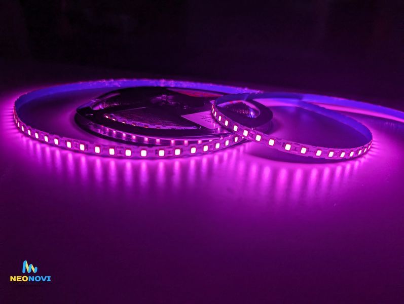 Світлодіодна LED стрічка 24 В (гнучка s-type) для неонових та рекламних вивісок, Рожево-червона ЛЕДГ-24-001 фото